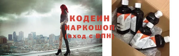 гашик Переславль-Залесский
