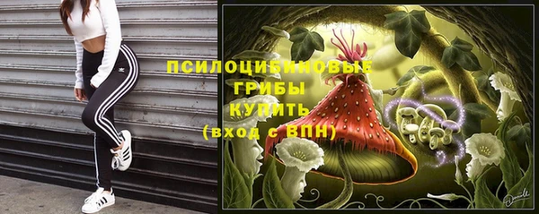 ешки Алзамай