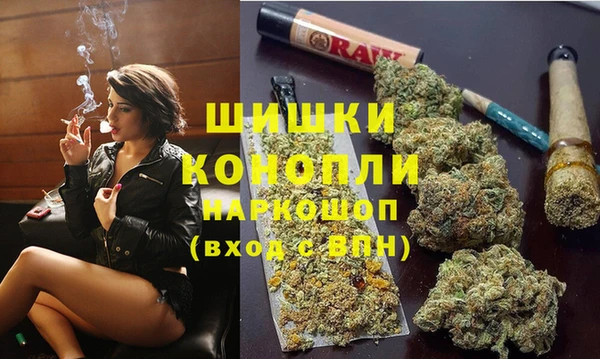 ешки Алзамай