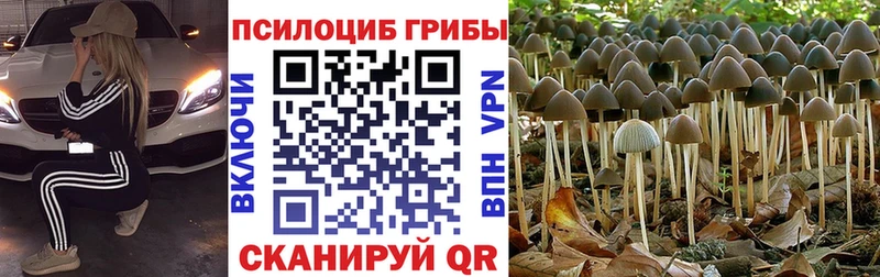 Галлюциногенные грибы мухоморы  где продают   Амурск 