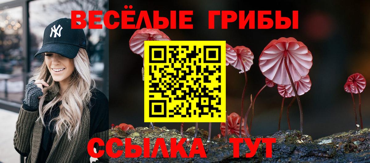 Амурск  Псилоцибиновые грибы Magic Shrooms  Галлюциногенные грибы ЛСД  Вход с VPN 